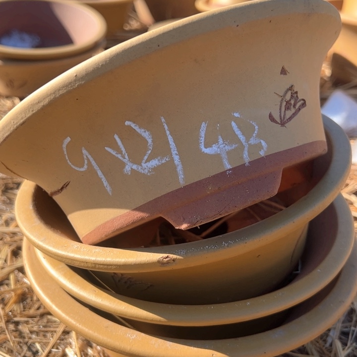 红陶紫砂碗盆口20