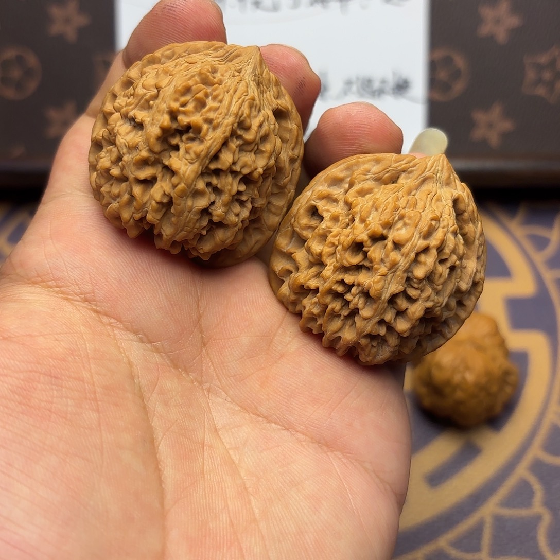 核桃08号 满天星。福利
