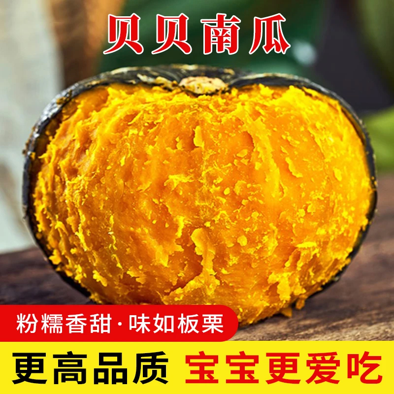 【坏果包赔】沙地贝贝南瓜老南瓜粉糯香甜宝宝辅食板栗口味新鲜粗粮