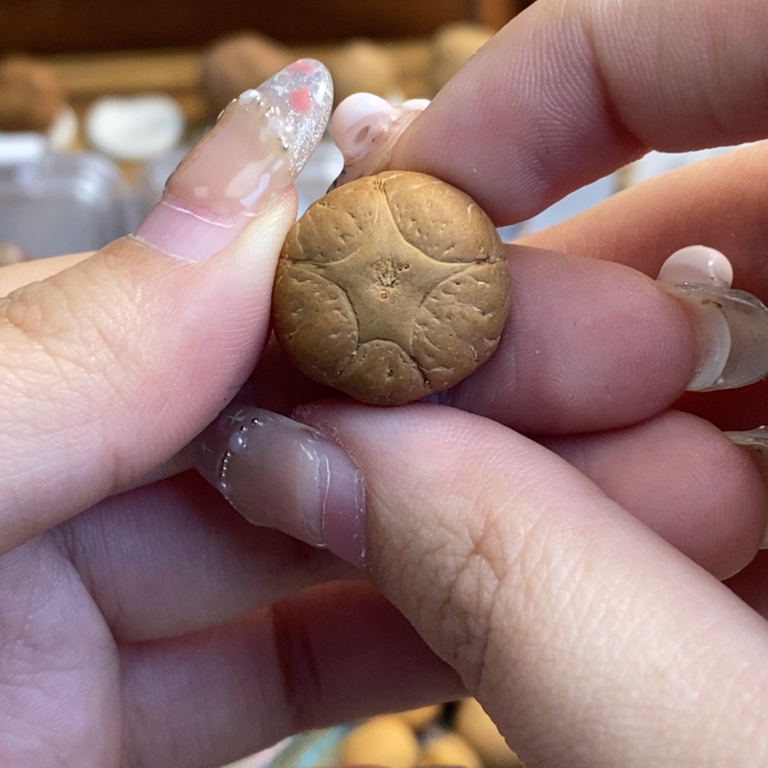 凤眼菩提吊坠五星