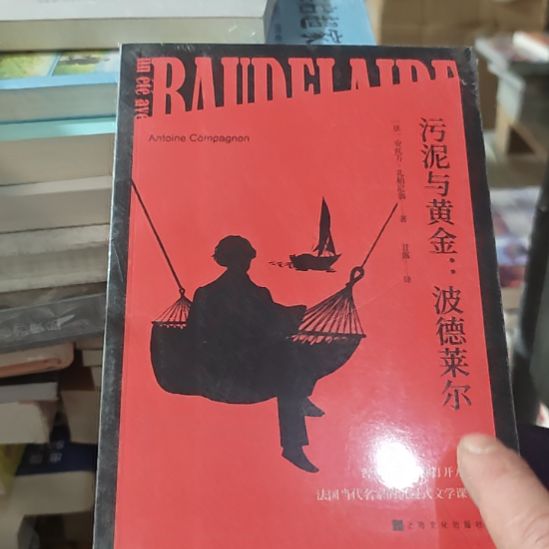 污泥与黄金，波德莱尔苏风全写。