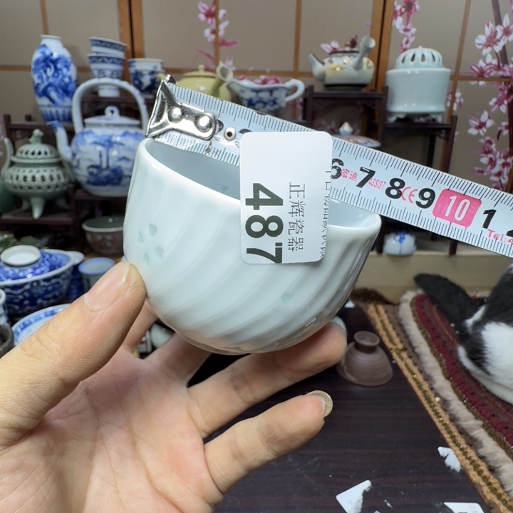碟487啊啊啊啊啊啊啊啊啊啊啊啊
