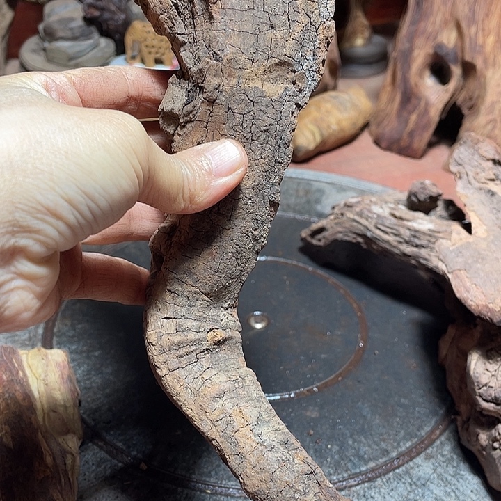 孤***杯花梨木类随行小手杷