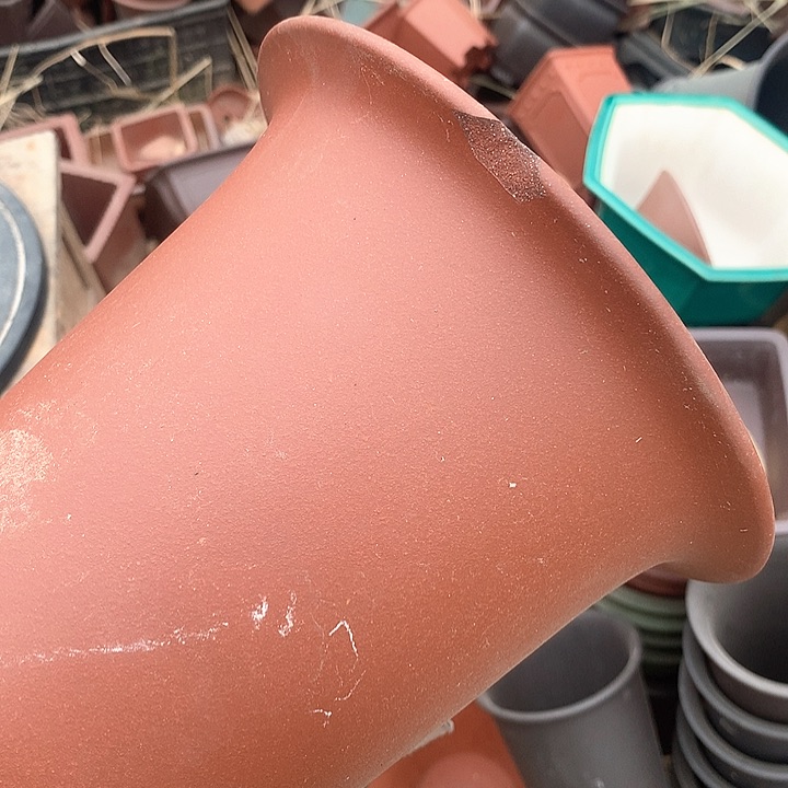 紫砂优秀青年科技人才