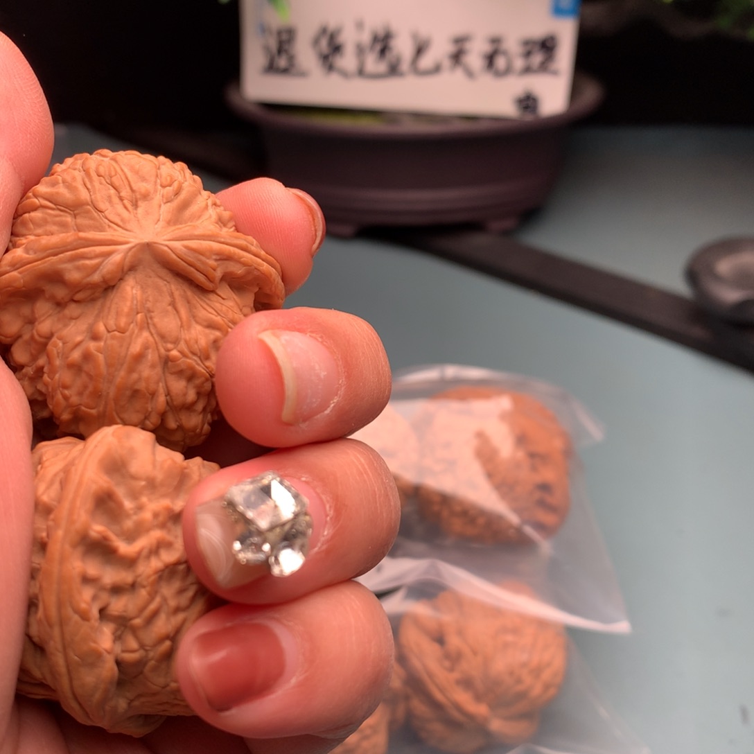 文玩核桃把件全品白狮子4445