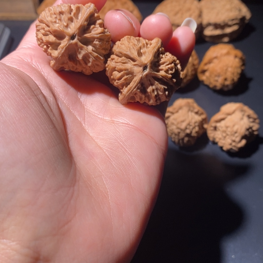 吊坠文玩核桃九龙鸭嘴