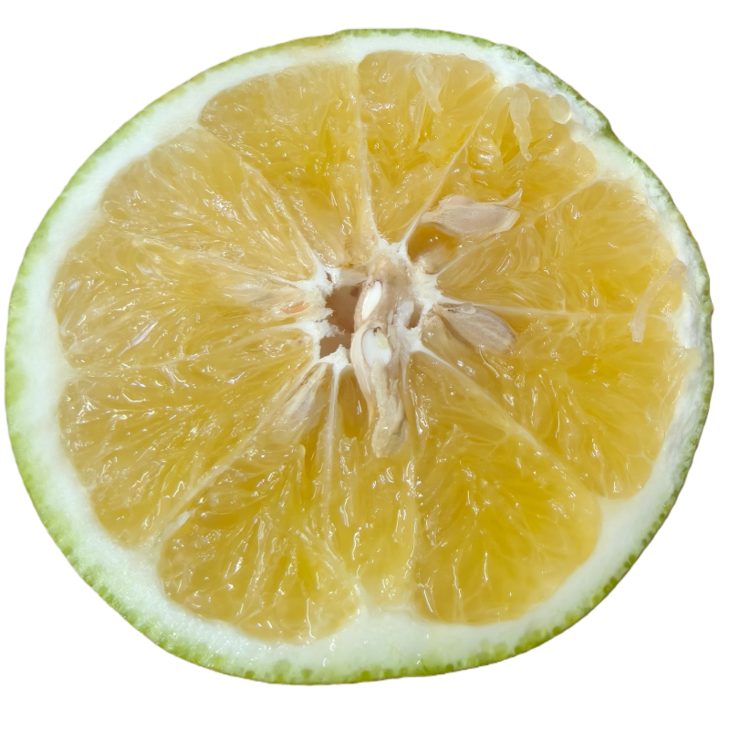 【大洋路市场】葡萄柚福建 8个/箱 5kg福建省