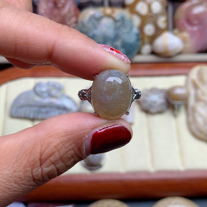 硅化珊瑚（珊瑚玉）颈饰未镶嵌