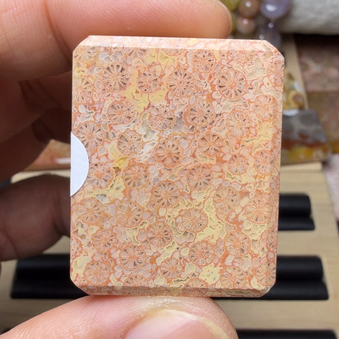 硅化玉未镶嵌纯天然色有机玉石保真色