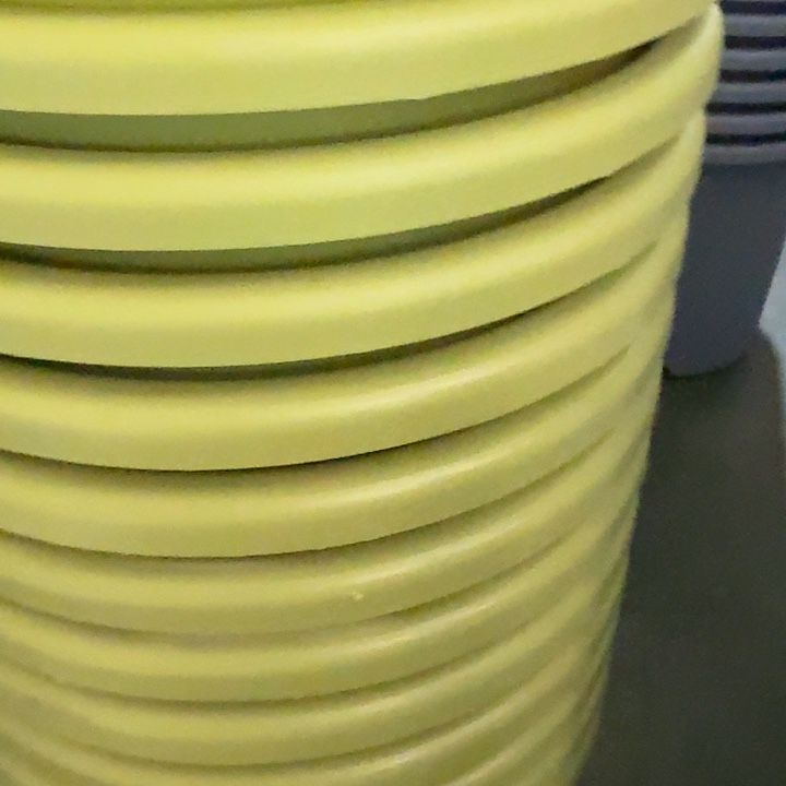 四季8号果绿无托5个特价微瑕