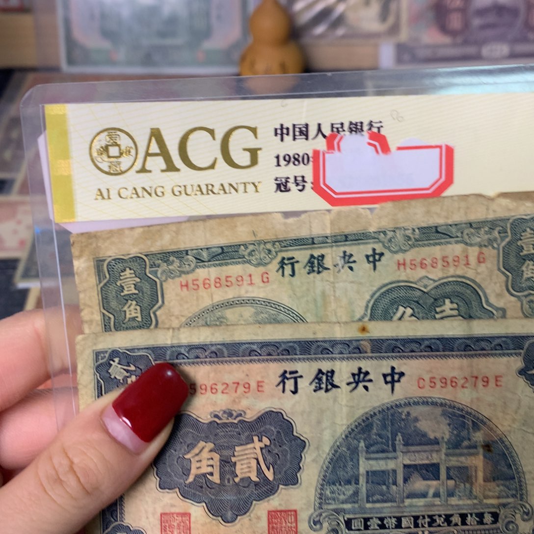 纸568591/696279 