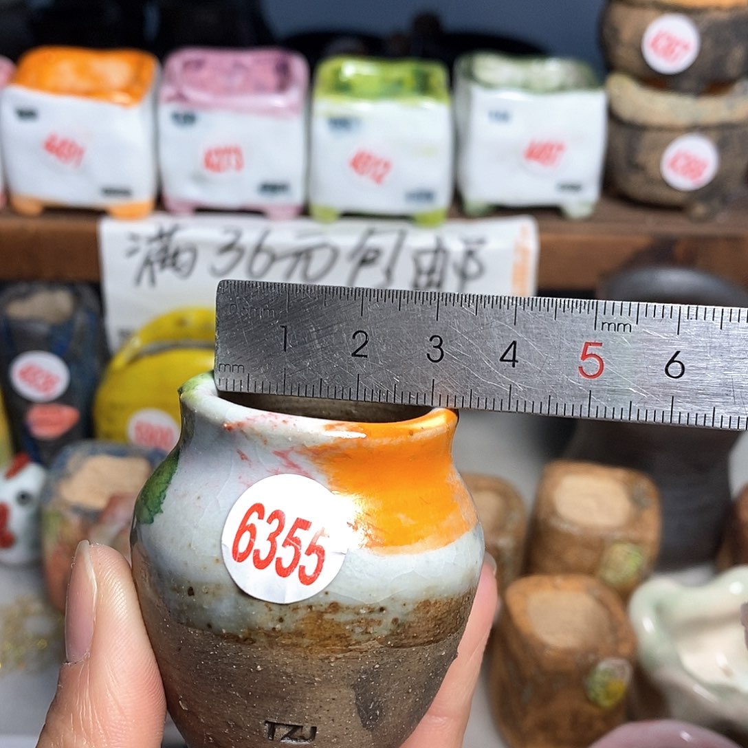 红陶拍5送一个小