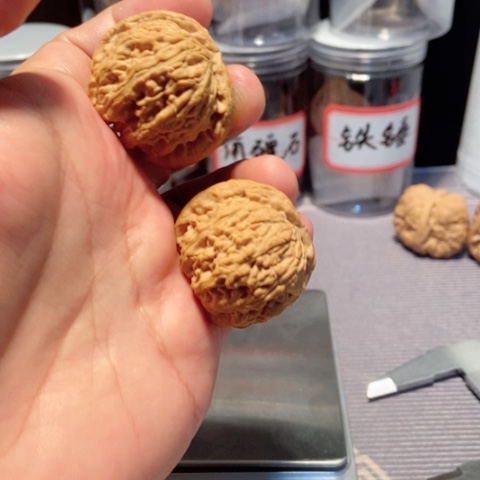 文玩核桃把件白狮子38