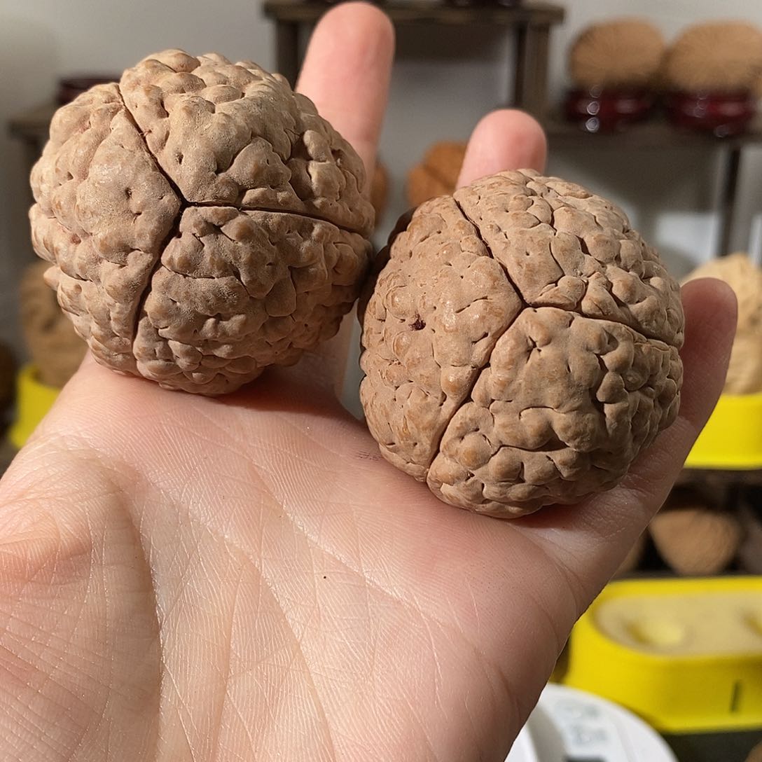 吊坠文玩核桃用****2三瓣脑纹金刚虫眼不退不换不接受中差评