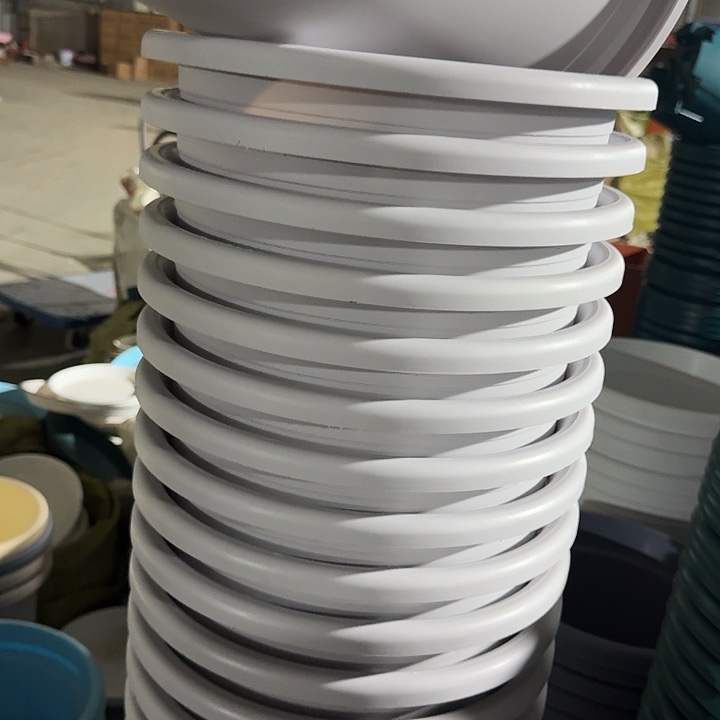 四季6号新灰白无托7个