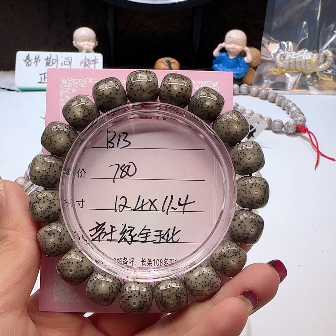 0**2心月星月菩提一号B13