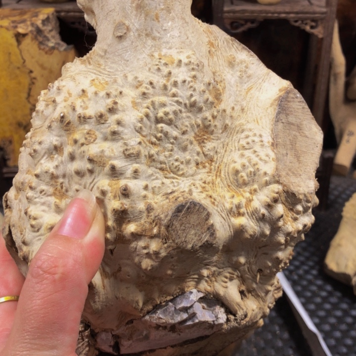 木新*木料木料木料木料