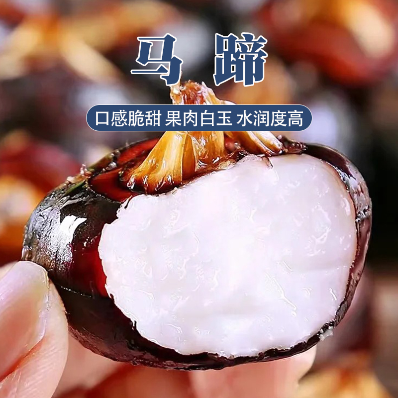 【坏果包赔】广西马蹄果净重5斤
