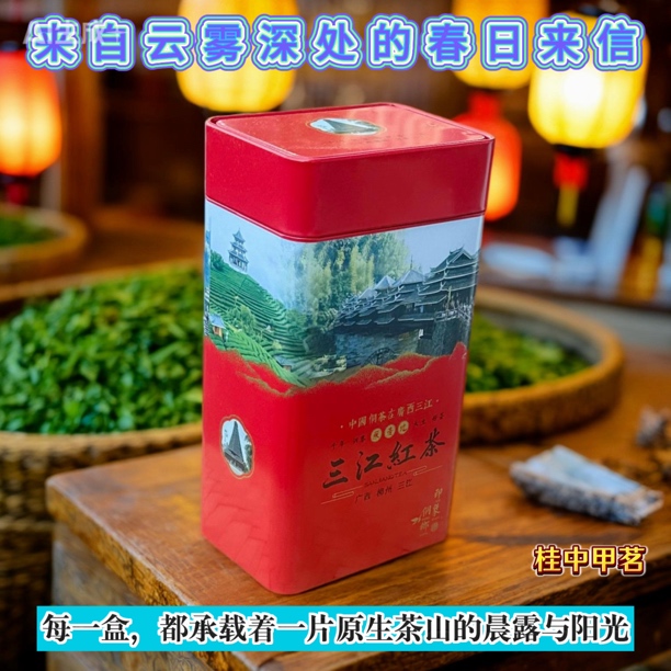 2025年广西柳州三江红茶/原生态红茶1号（早春）龙井长叶/经典品种