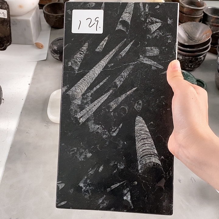 混***土角石化石茶盘干泡台