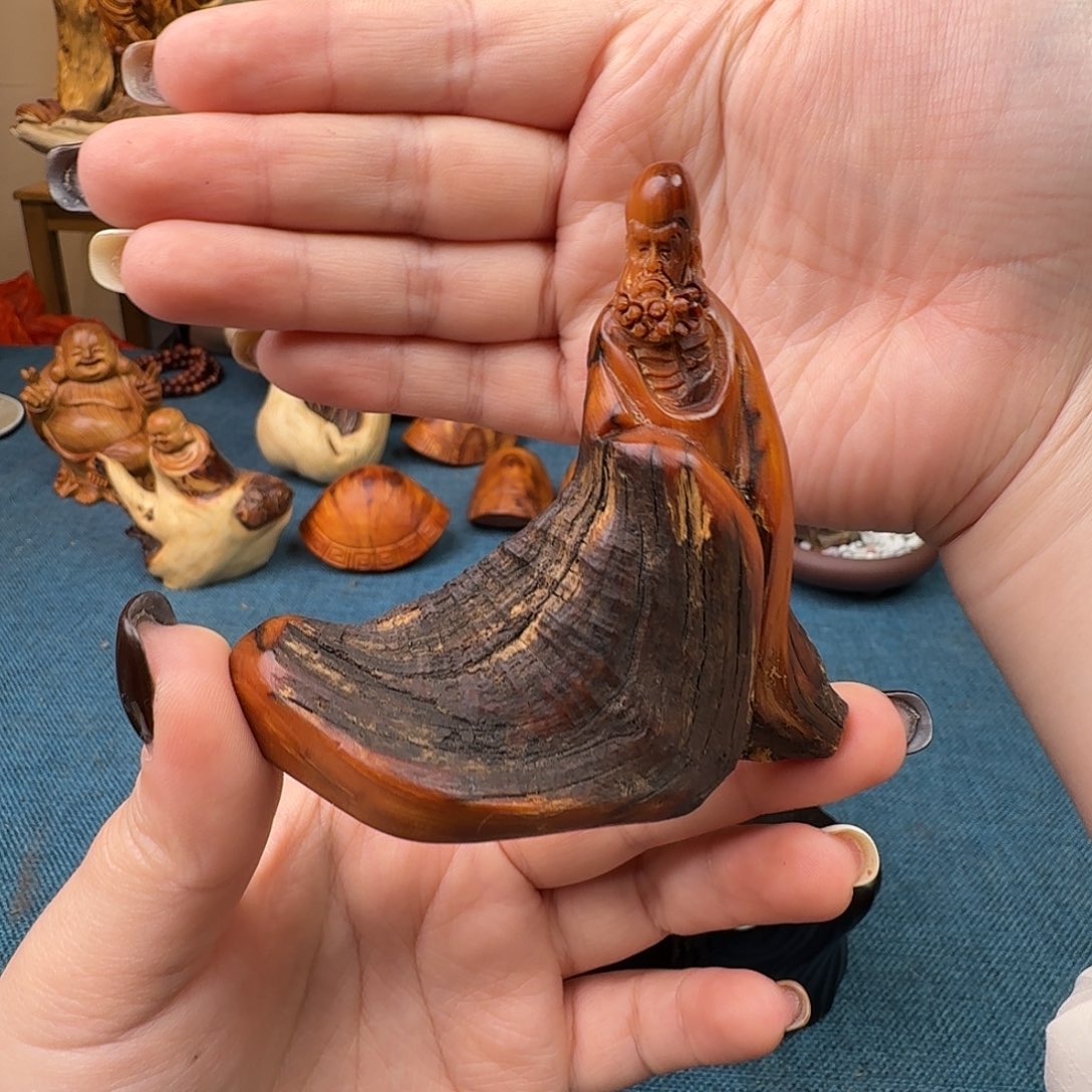 柏木（崖柏）关注一下