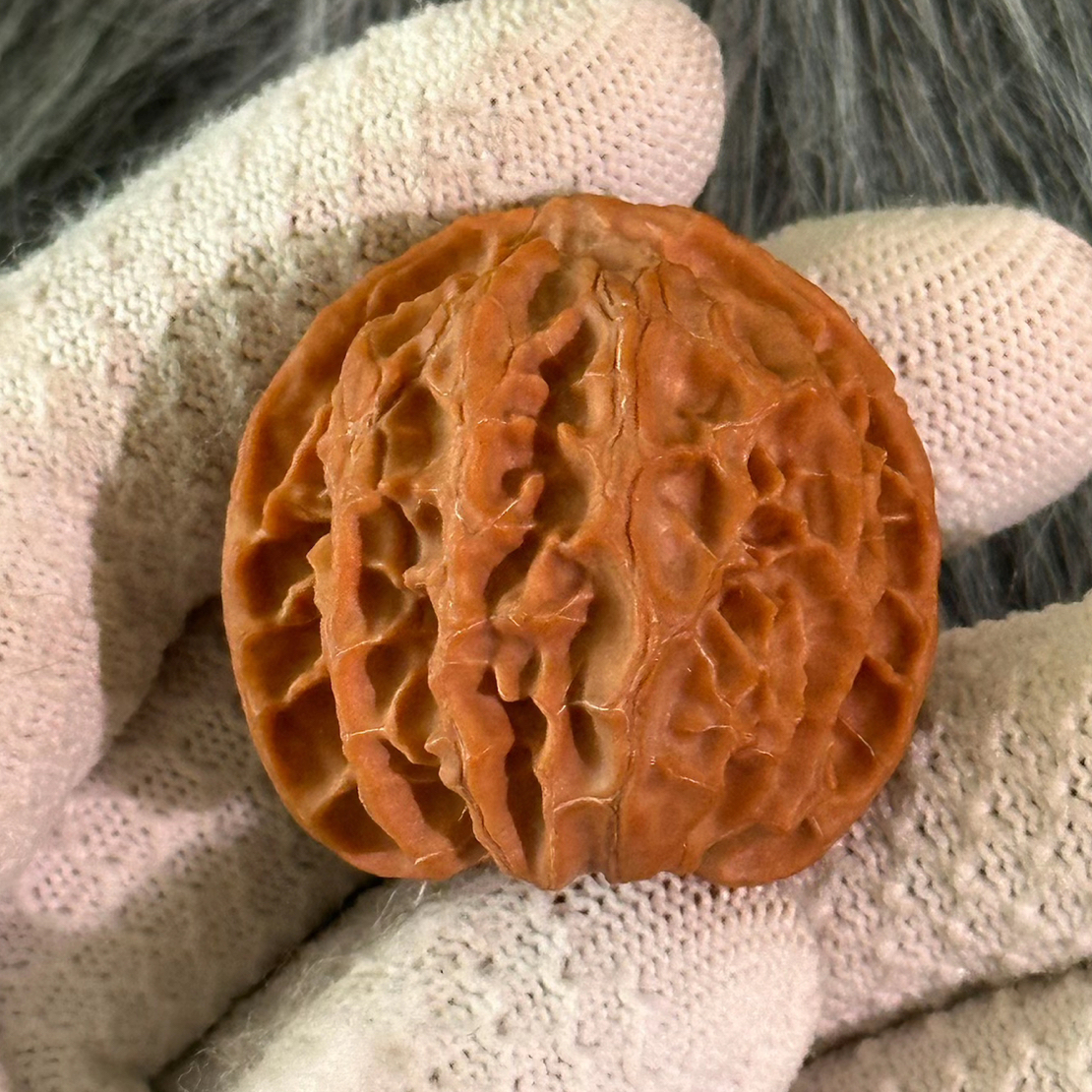 核桃下单链接（直播间展示为准）
