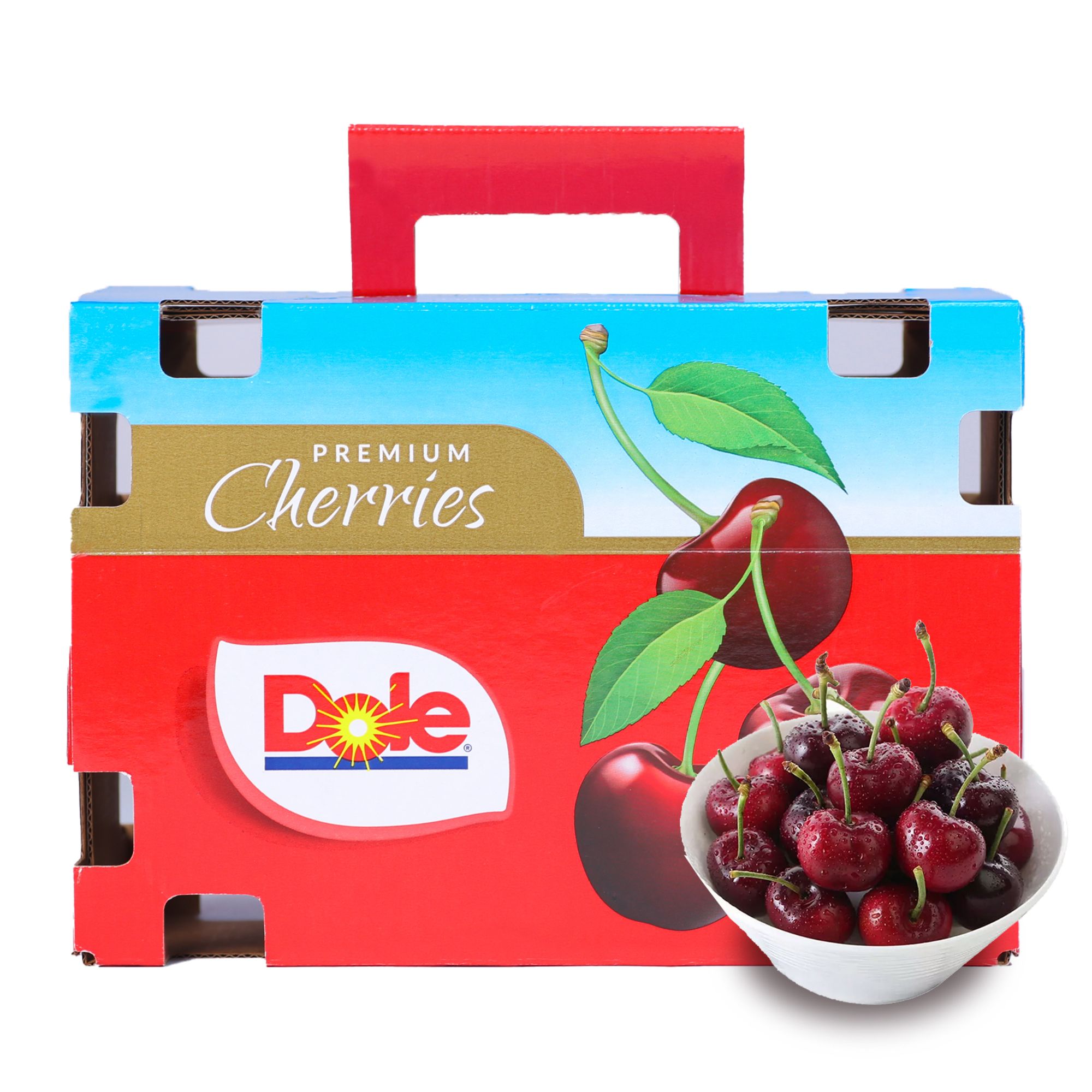 【今天拍 明天到】都乐智利空运桑提娜进口车厘子4JDD 肉厚核小2J-5J800g内附果径卡桑提娜樱桃智利共和国