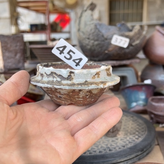 红陶小***?454……………………