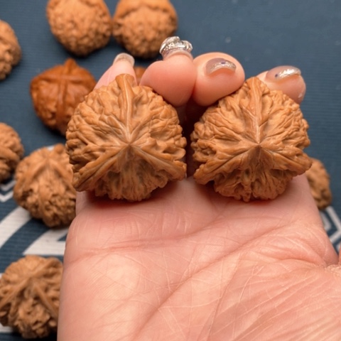 橄榄核手串/手链文山三棱御龙粗筋36