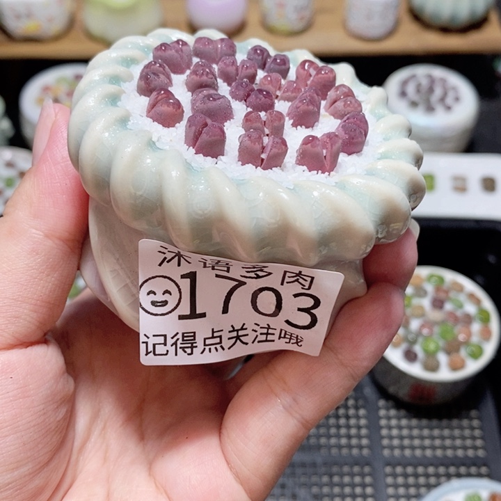精美盆栽 一物一拍 1703
