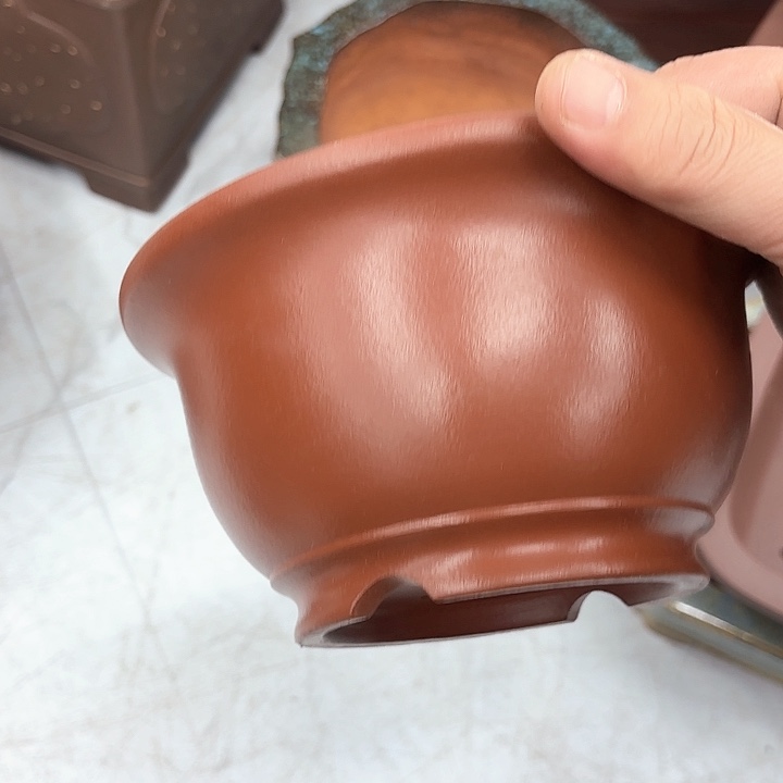 紫砂花盆紫砂的花开了