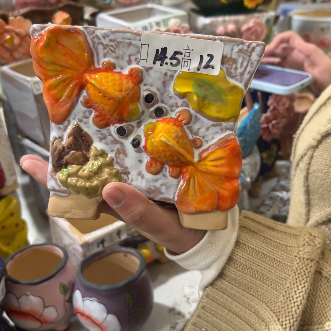 花盆，拍满20发货，退款拉黑