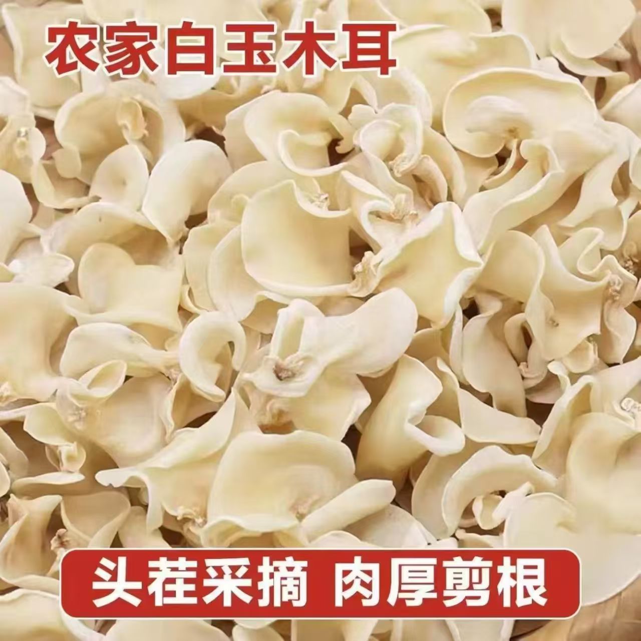 东北特产白玉木耳 农家干货精选品质 营养正宗鲜嫩爽脆 高泡发