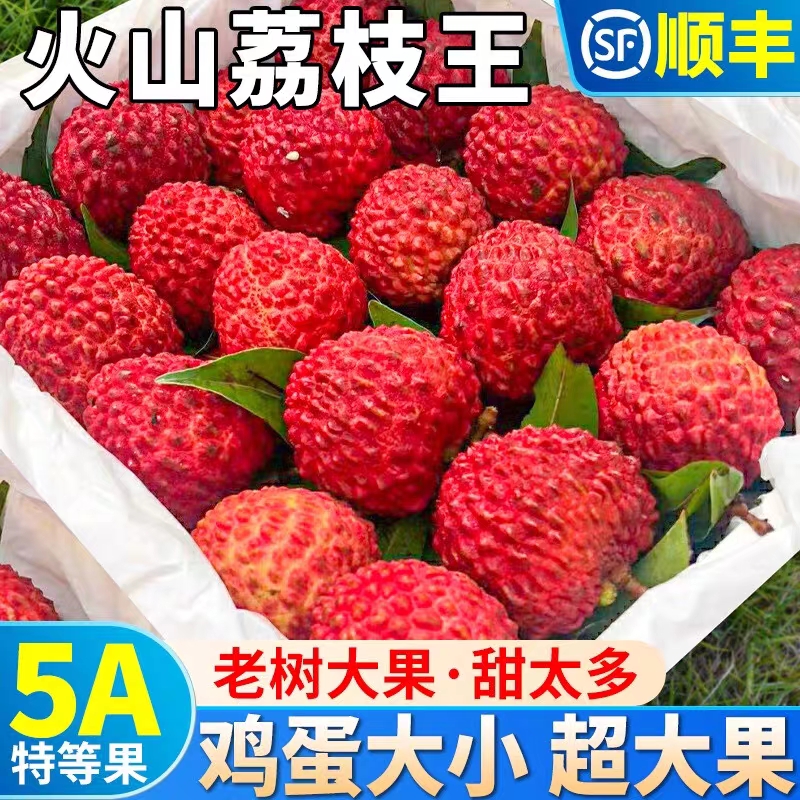 （沈阳发货）新鲜应季火山口荔枝王 大果 1斤-2斤-3.5斤京东包邮荔枝同城送