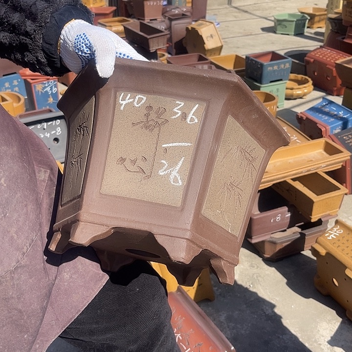 紫砂花盆紫砂花茶