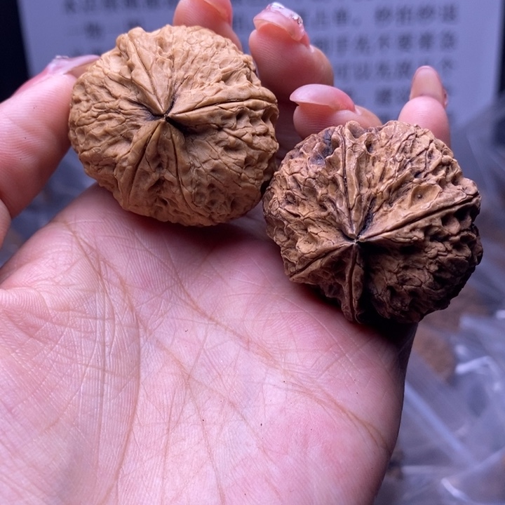 核桃云南野生铁核桃16号38mm