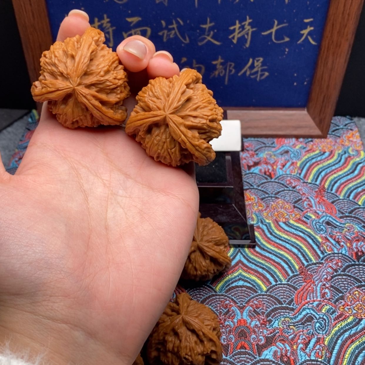 【闪购商品】屿*白狮