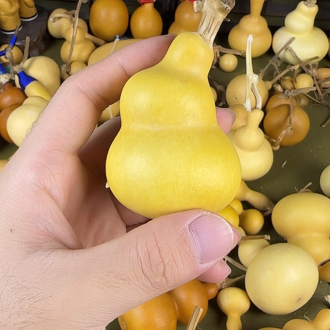 小*马whshshsbsbsbsbssb