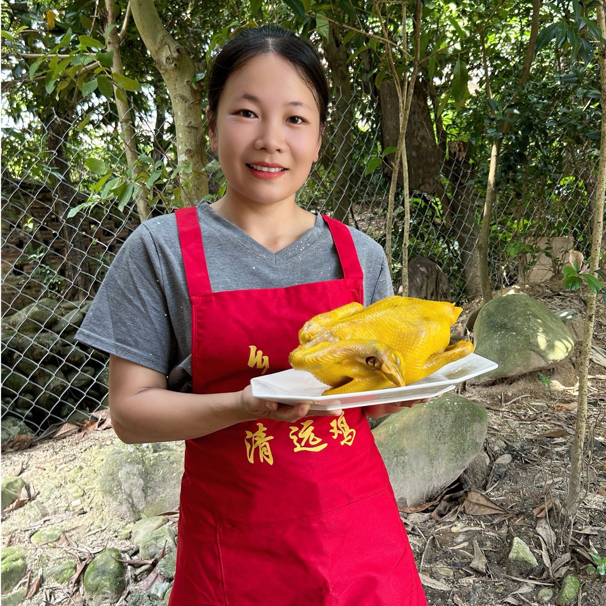 广东清远古法秘制五指毛桃咸香鸡+脆皮洲心烧肉套餐