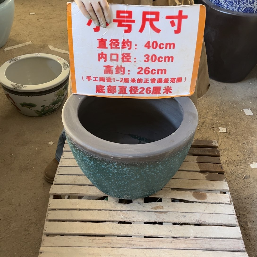 瓷片兰泡42.888888888