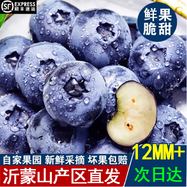 03山东临沂蓝莓中果12mm~15mm新鲜采摘当日发货爽口爆汁100g每盒山东省