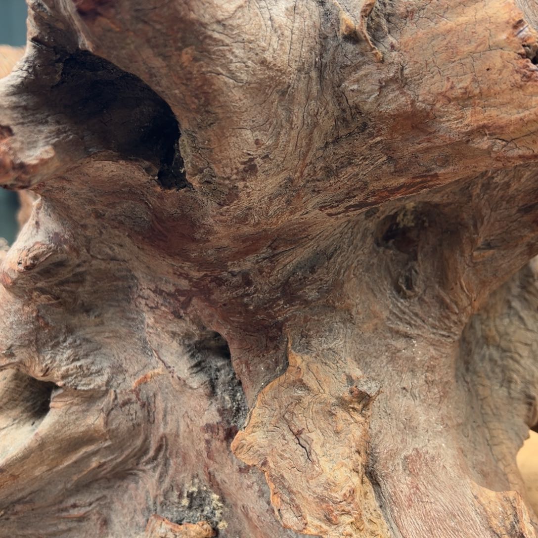 黄花梨/降香黄檀手串蒔****雨20手串15号定制