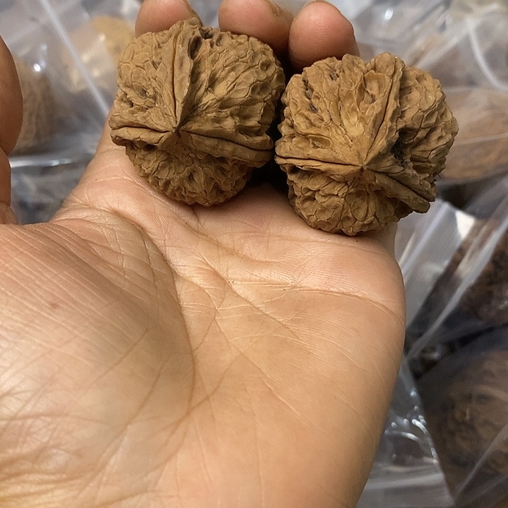 核桃云南铁核桃基地25