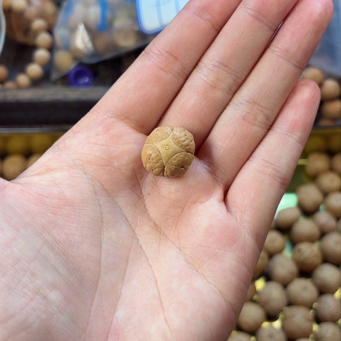 凤眼菩提吊坠麒麟风眼16尺寸三通