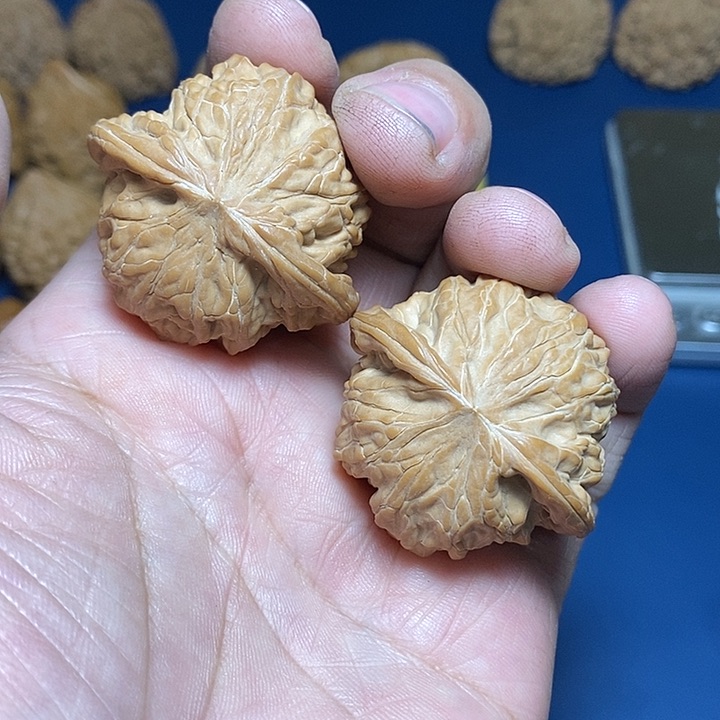 文玩核桃把件F****o42尺，全品磨盘