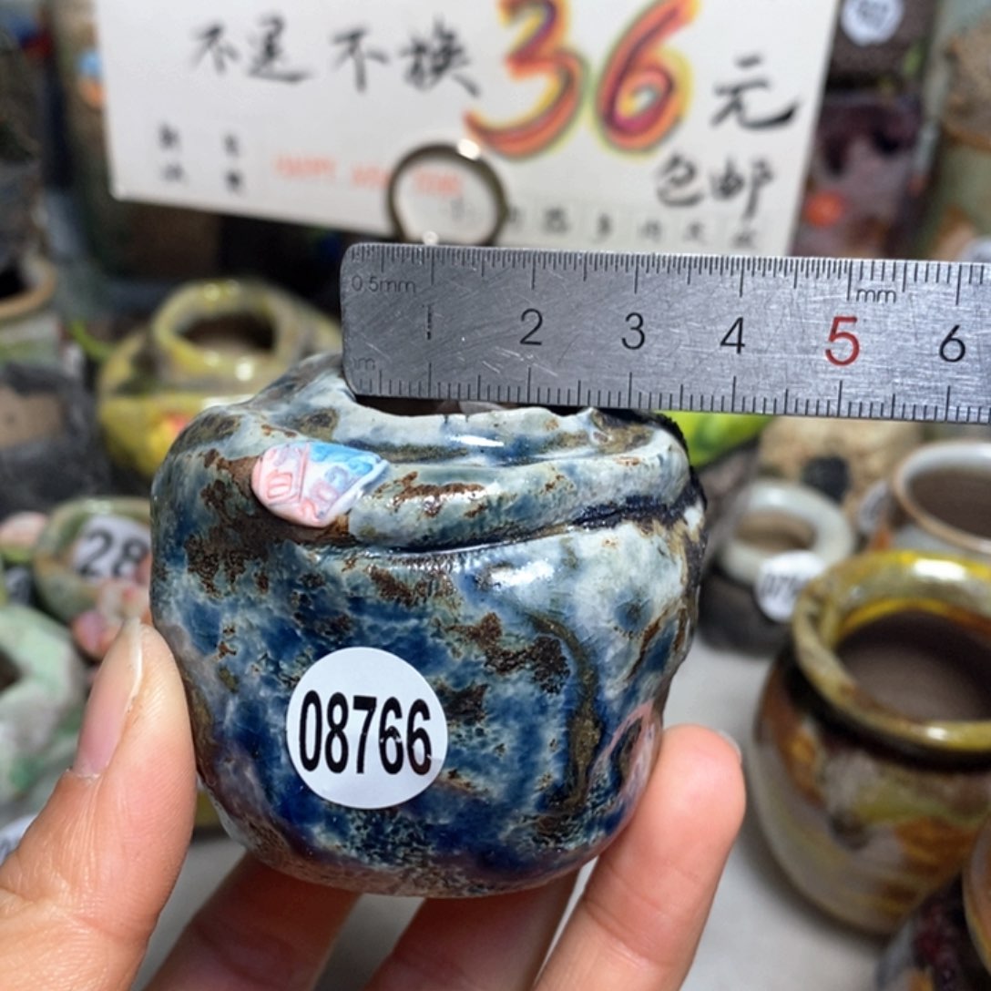 元旦特惠花盆不退不换，原价58