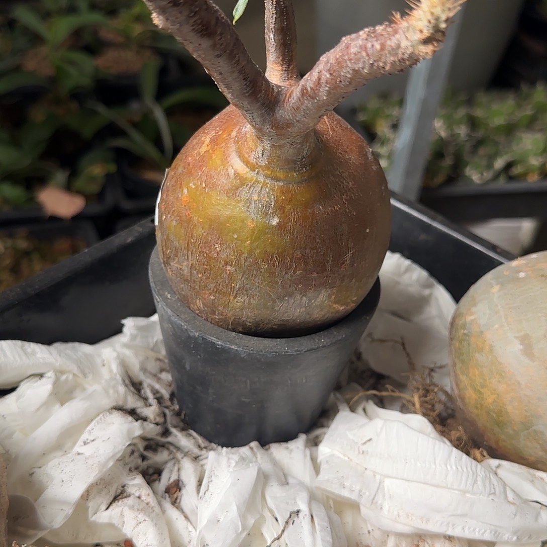 宫宫宫宫宫宫宫宫