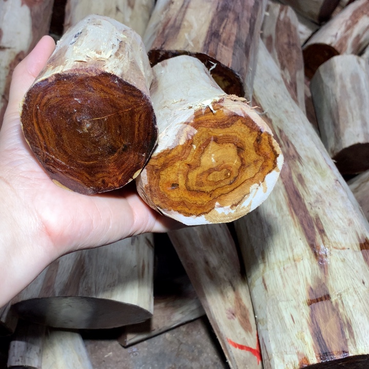 用***2花梨木类海南黄花梨