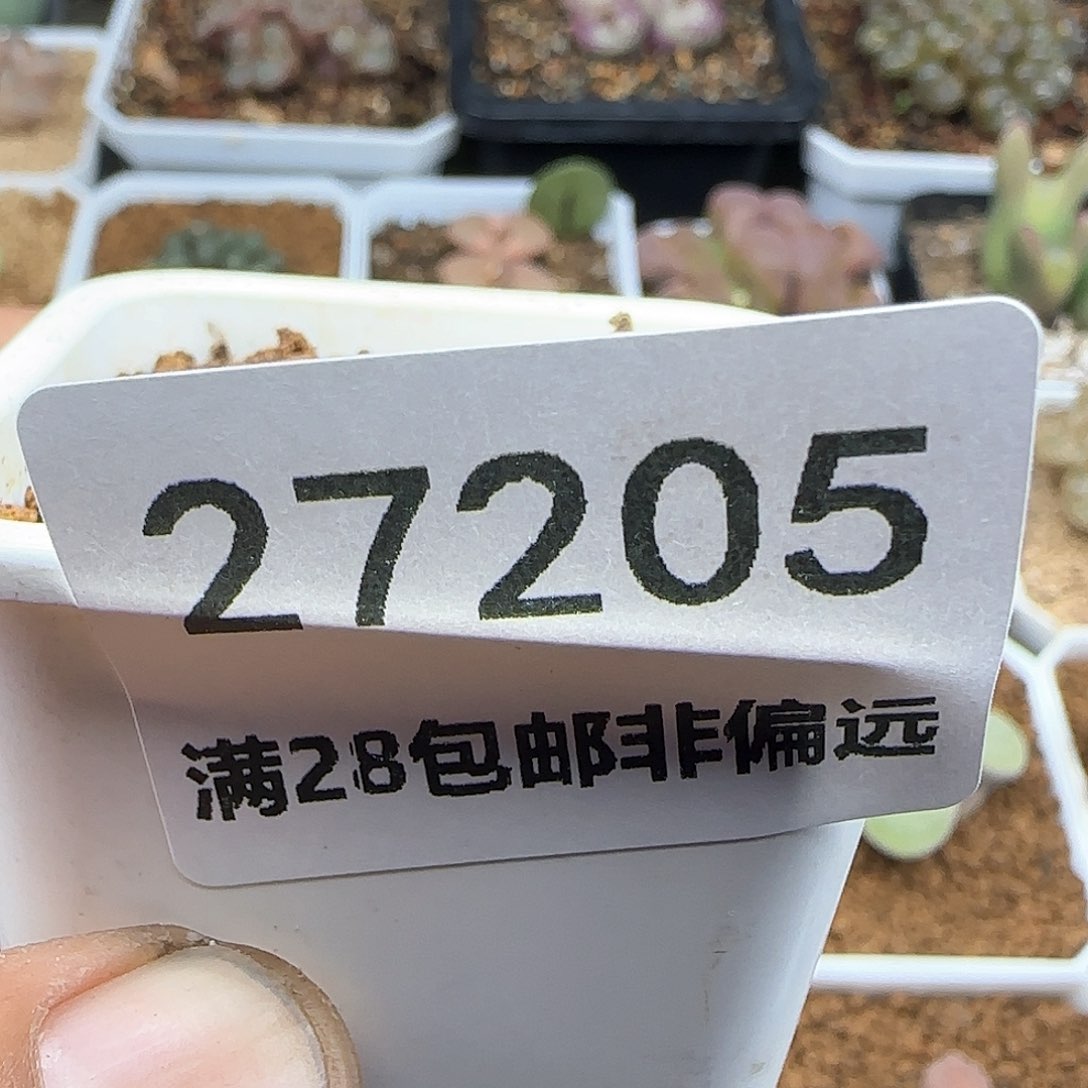 金***?脱土28包邮哦27205