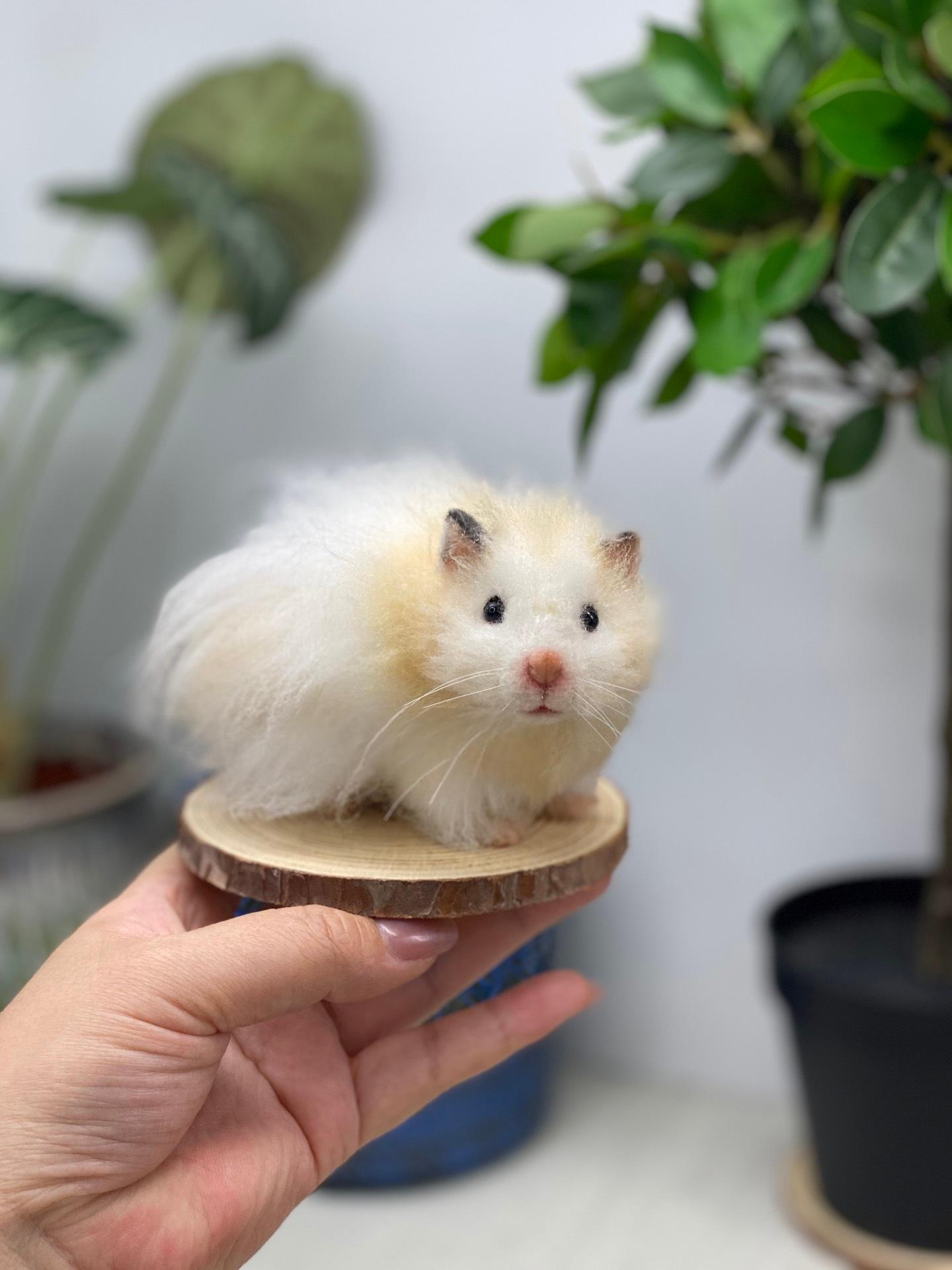 定制羊毛毡金丝熊全身款宝宝文具